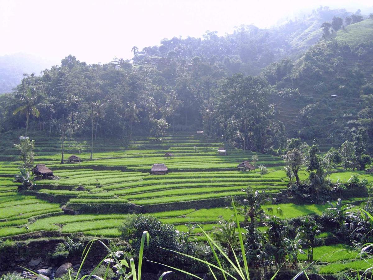 Villa Arjuna Seraya Ngoại thất bức ảnh